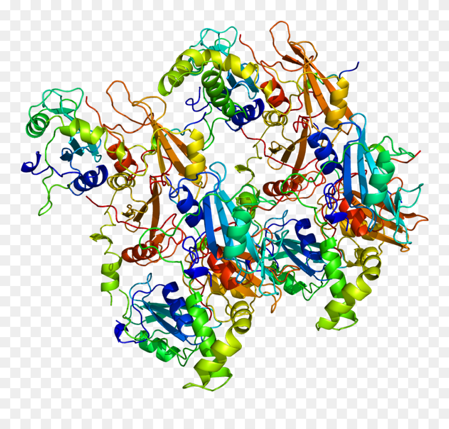 6 Wallpaper Protein X4214044142 - Tyrosine Protein Kinase Syk Clipart