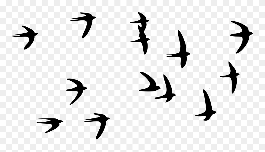 Swallow Bird Paper Wall Decal Tattoo - Birds Flying In The Sky Png Clipart
