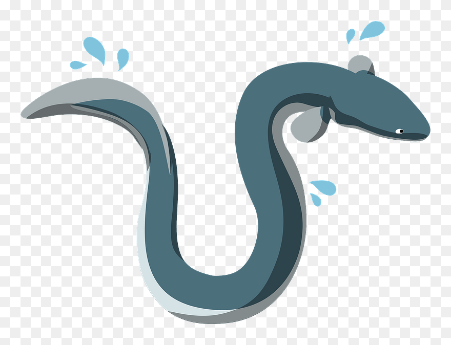 Unagi Eel Clipart - Cockfosters Tube Station - Png Download