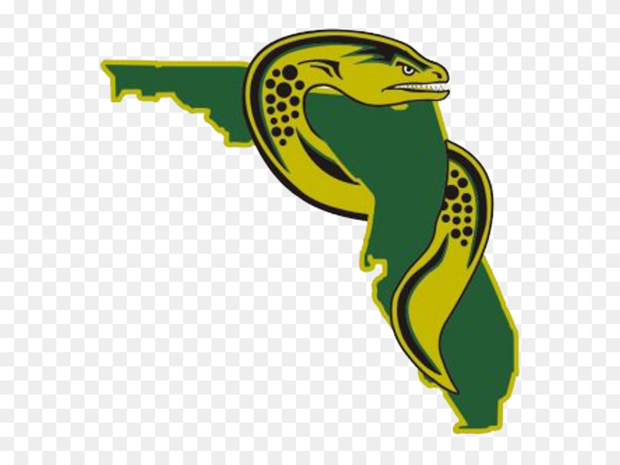 U S Premier Hockey - Florida Eels Hockey Logo Clipart