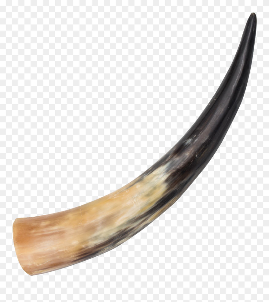 Drinking Horn Dagger Arkansas Toothpick - Animal Horn Clipart