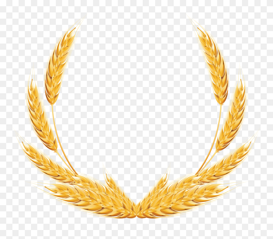 Grains Clipart Piece Wheat - Wheat Png Clipart Transparent Png