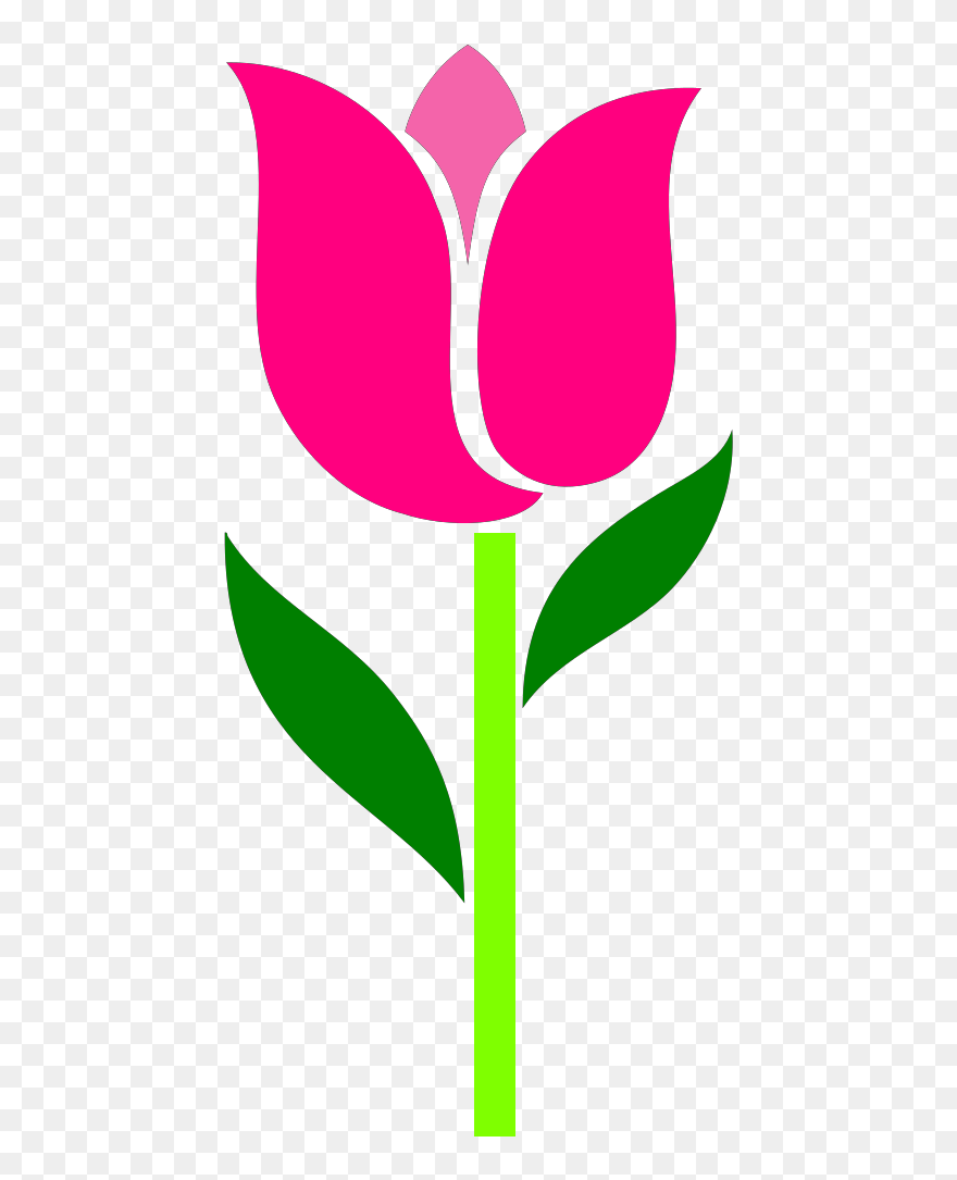 Tulip Flowers Clipart - Png Download