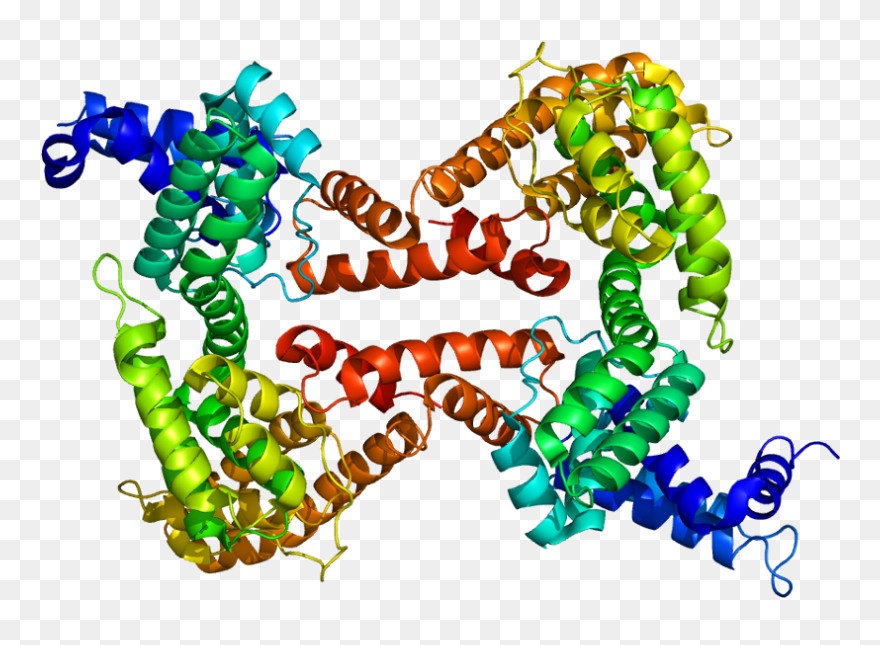 Protein Gc Pdb 1j78 - Vitamin D Binding Protein Clipart