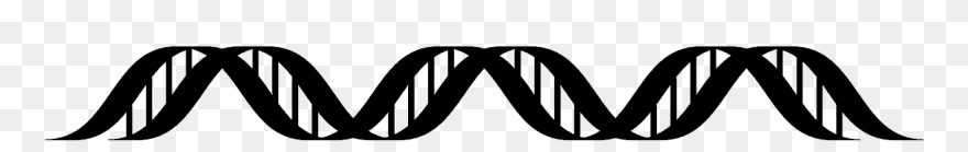 Genetics Clipart