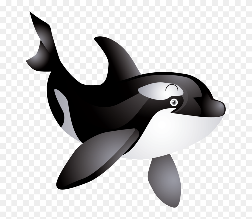The Killer Whale Cetacea Humpback Whale Clip Art - Cute Killer Whale Clipart - Png Download