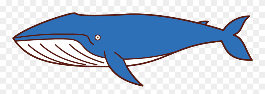 Illustration Of A Blue Whale - Blue Whale Clipart