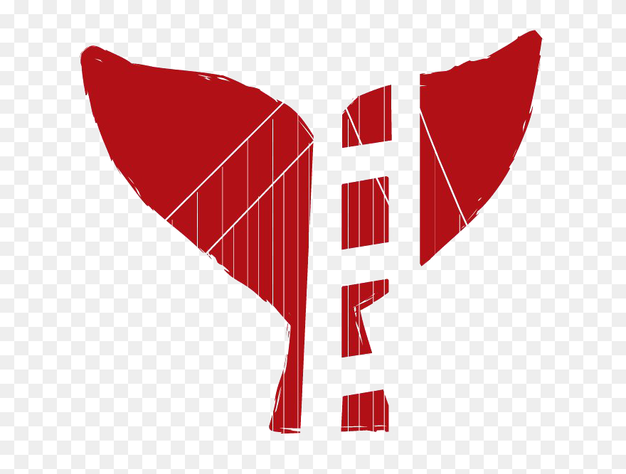 Sf Bay Whale Watching Clipart