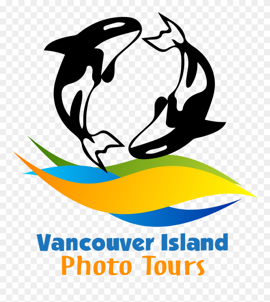 Graphic Design Clipart