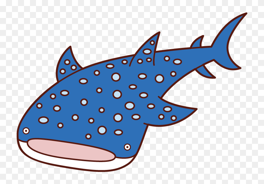 Illustration Of Whale Shark - Whale Shark Clipart