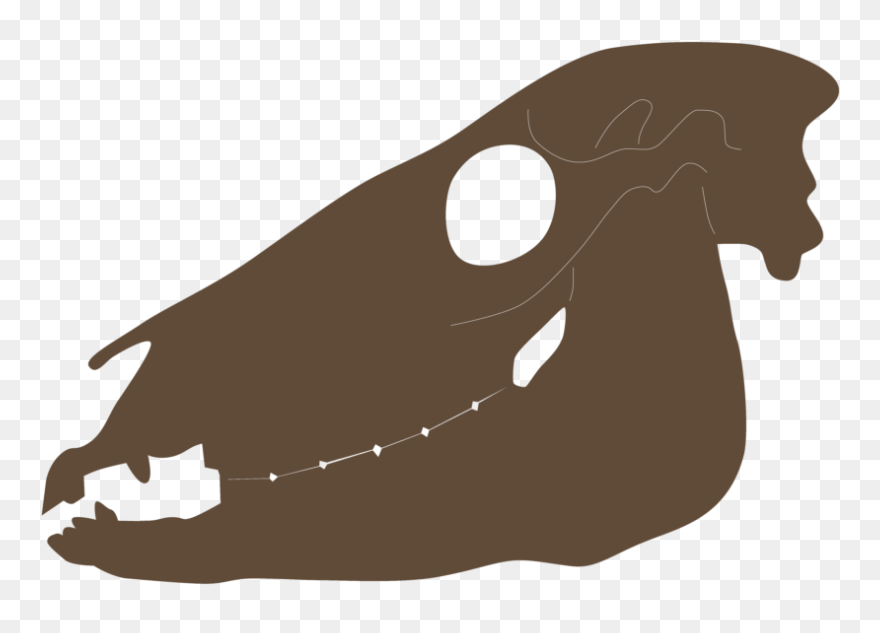 Illustration Clipart