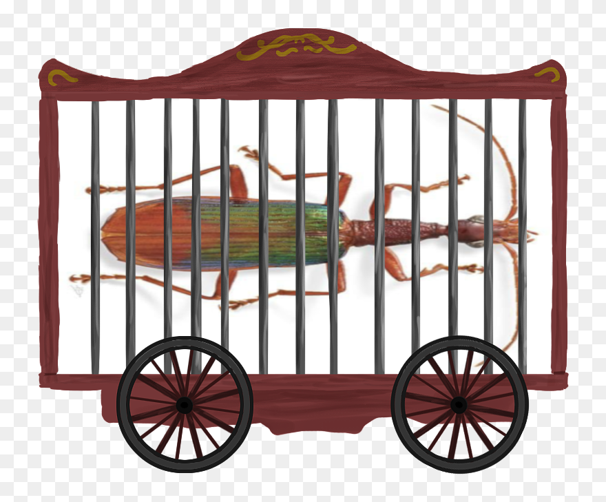 Circus Cage Png Clipart
