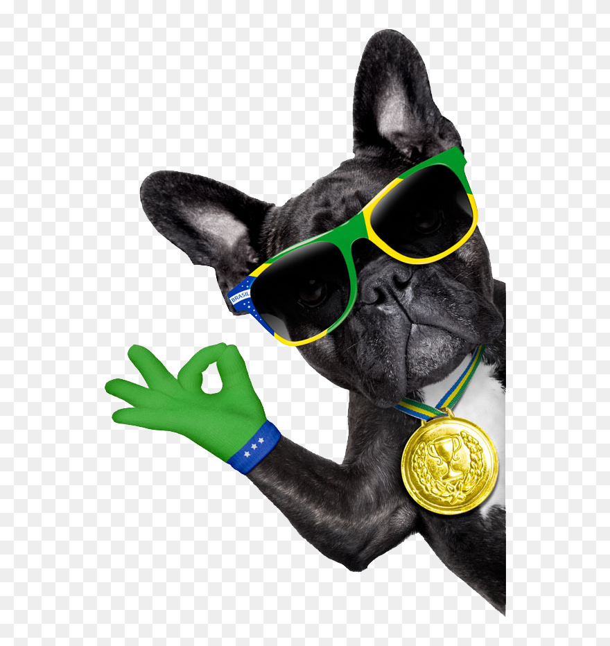 Kutta Bully Bulldog Photography Dog French Puppy Clipart - Imagenes De Perros Cools - Png Download