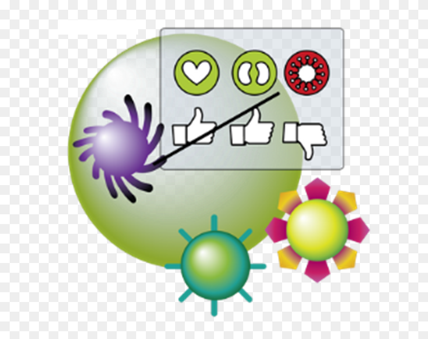 How Does The Work - Ancora Decoração Clipart