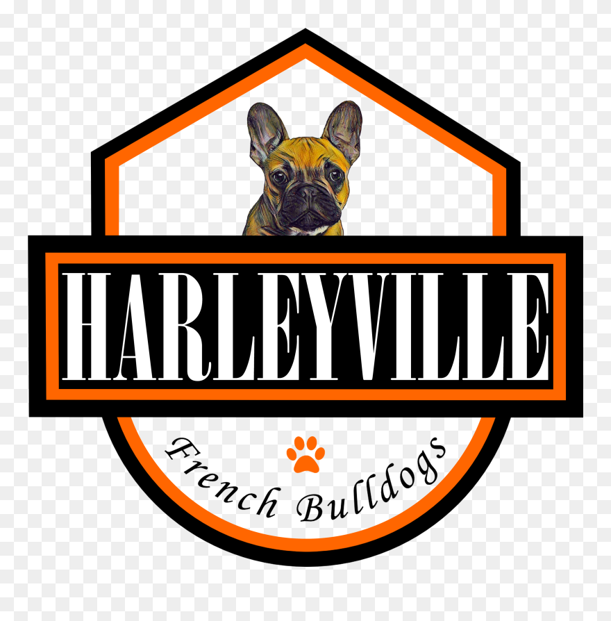 French Bulldog Clip Art - Png Download