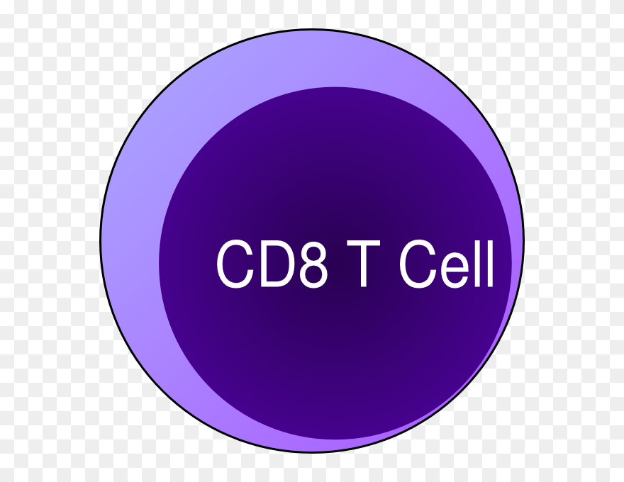 Ruhunu Maha Kataragama Devalaya Clipart