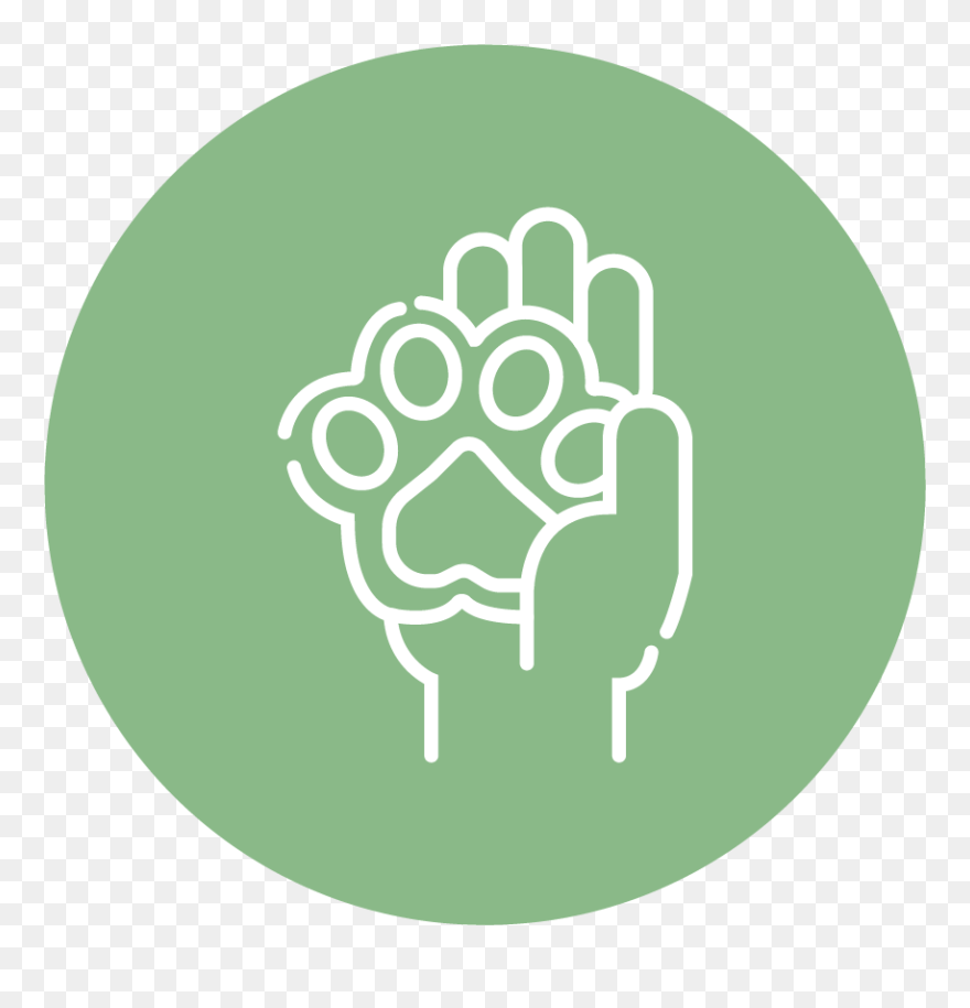 Sample Avatar - 聚聚楽 Nook Clipart