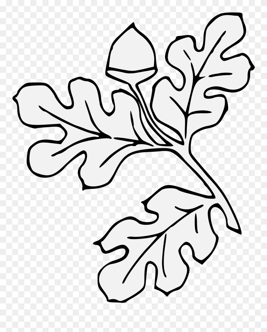 Acorn Slipped & Leaved - Line Art Clipart