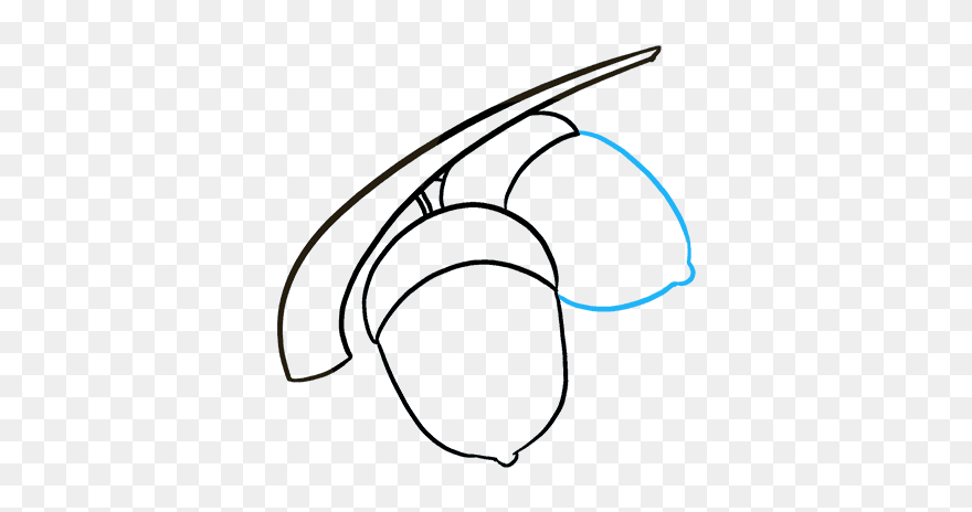 How To Draw Acorns - Sketch Clipart