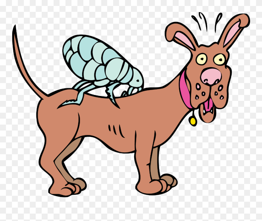 Flea On A Dog Cartoon Clipart