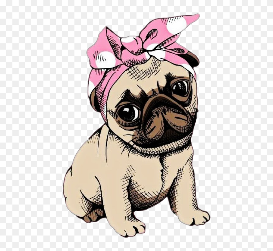 Pug Dog Png Clipart - Pug Png Transparent Png