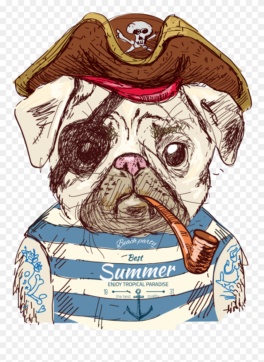 Expert Drawing Pug - Dog Pirate Drawing Clipart