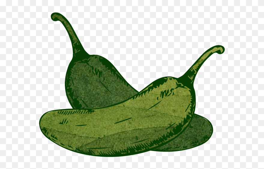 Illustration Clipart