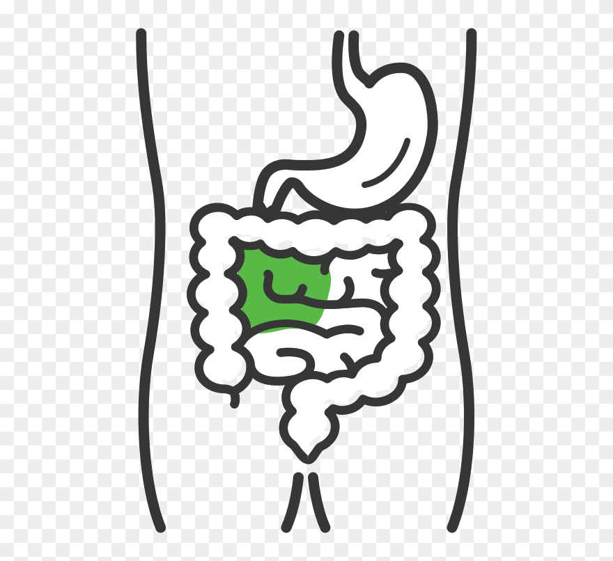 Crohn's Disease Clipart