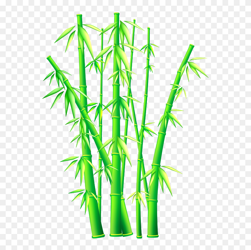 Picture - Transparent Background Bamboo Clipart Png