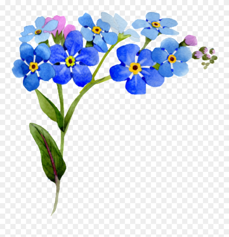 #flower #corner #interesting #nature - Blue Floral Frame Png Clipart