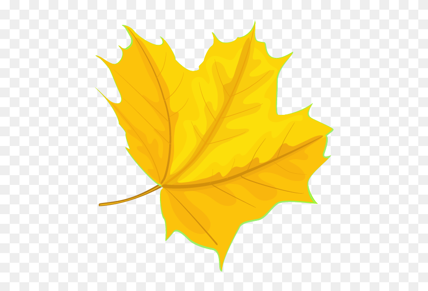 Maple Leaf Clipart