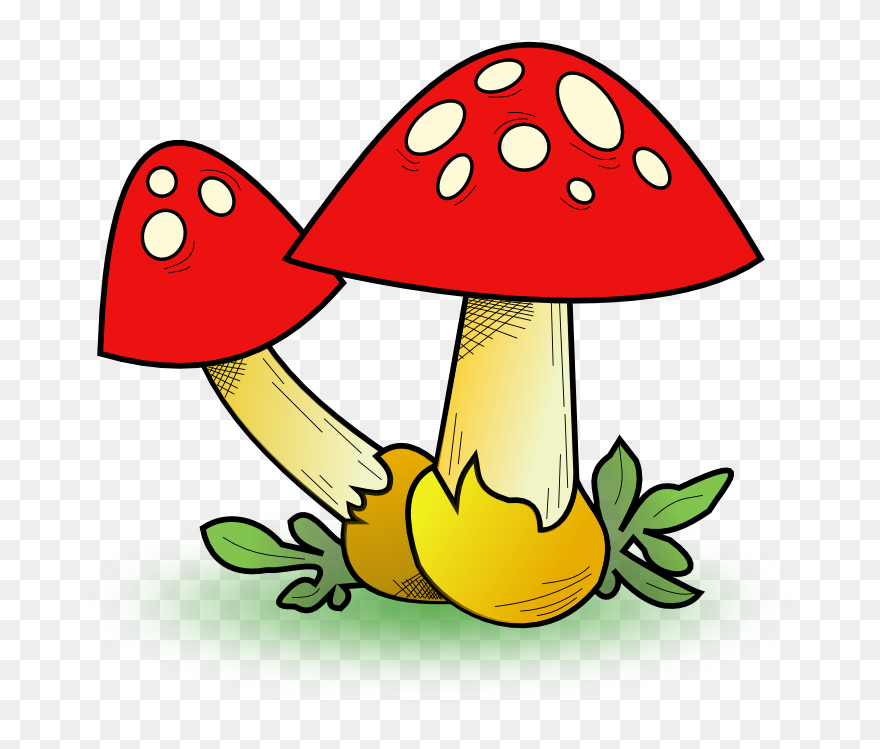 Mushroom Clipart - Png Download