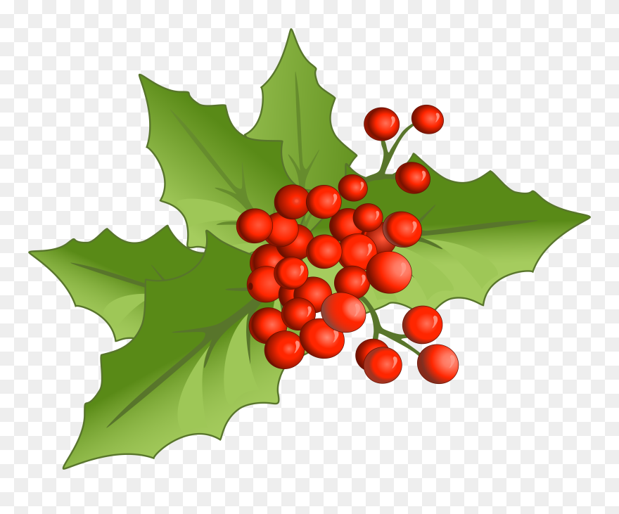 Candy Cane Mistletoe Christmas Phoradendron Tomentosum Clipart