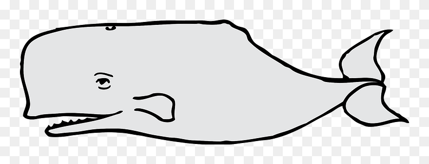 Whale Clipart - Simple Whale Clip Art - Png Download