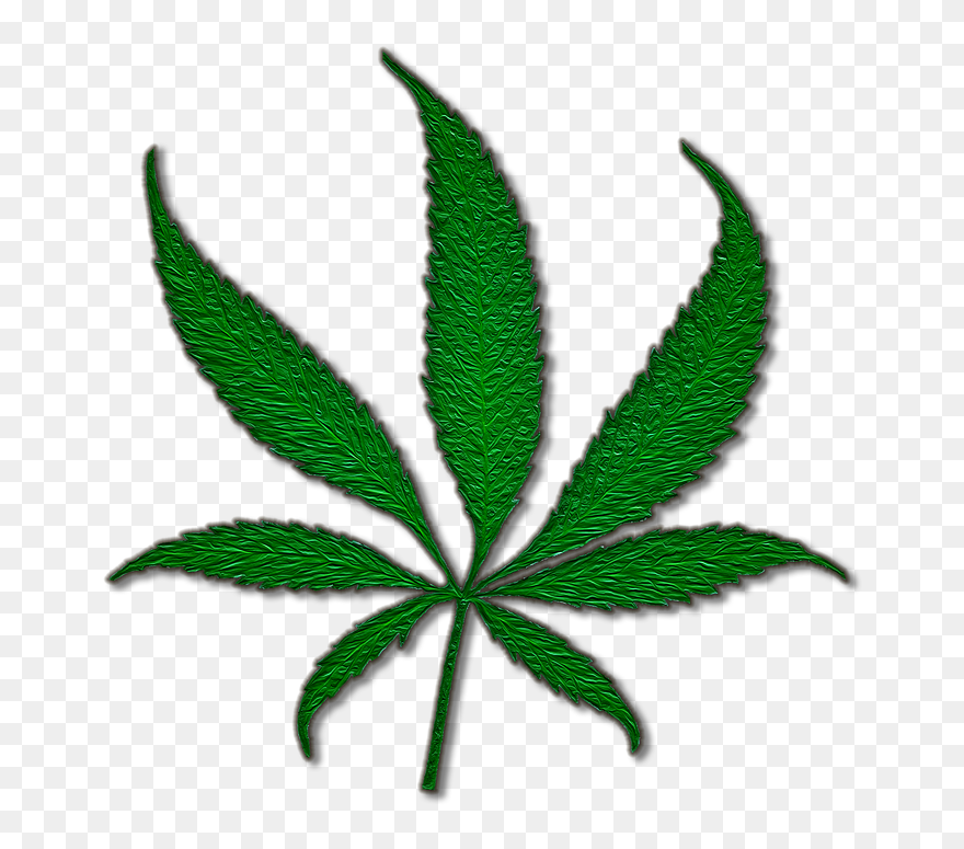 Medical Cannabis Marijuana Joint Cannabis Sativa - Black Cannabis Leaf Png Clipart