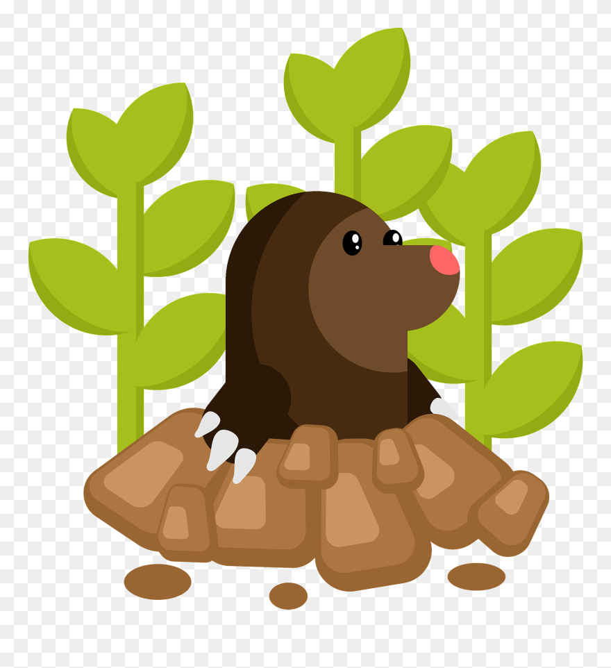 Vector Graphics Clipart