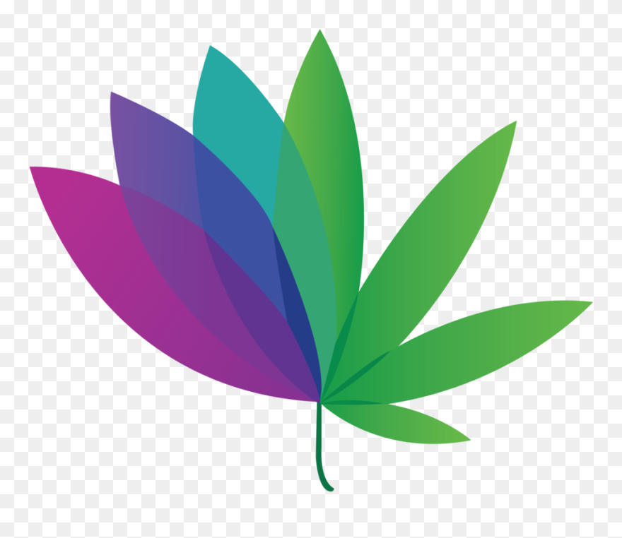 Lilyhemp Cbd Roanoke Va Flower Clipart