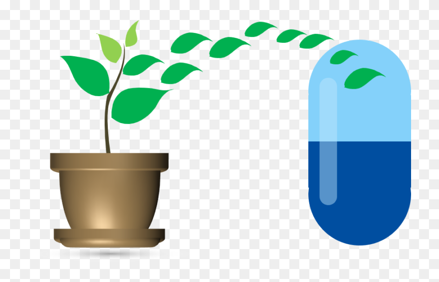 Clip Art - Png Download