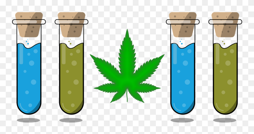 Weed Leaf Png Transparent Clipart