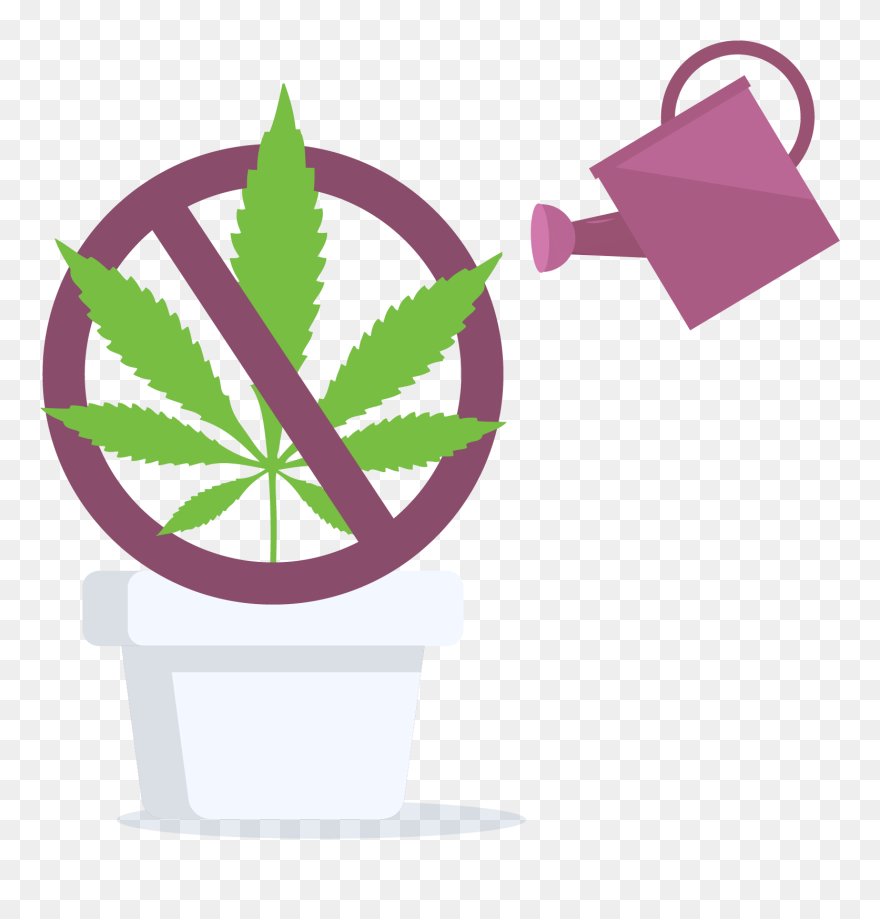 Cannabis Home Grow Is Prohibited In Manitoba, Canada - Marijuana Leaf Clipart