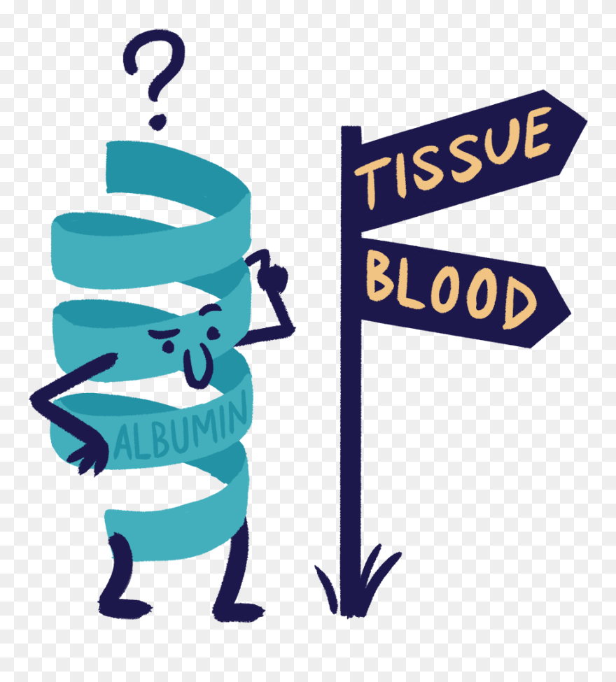 Albumin Clipart - Png Download