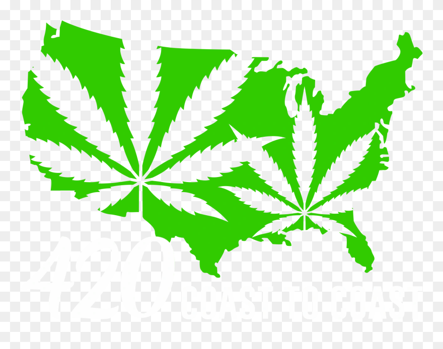 Covid 19 Tracker California Clipart