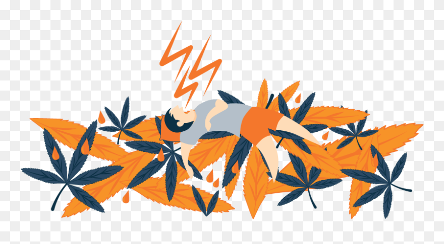 Illustration Of A Man Sleeping On Marijuana Leaves - Graphic Design Clipart