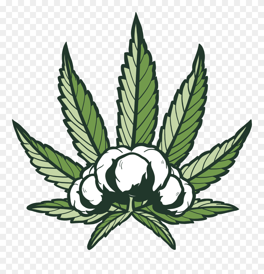 Illustration Clipart