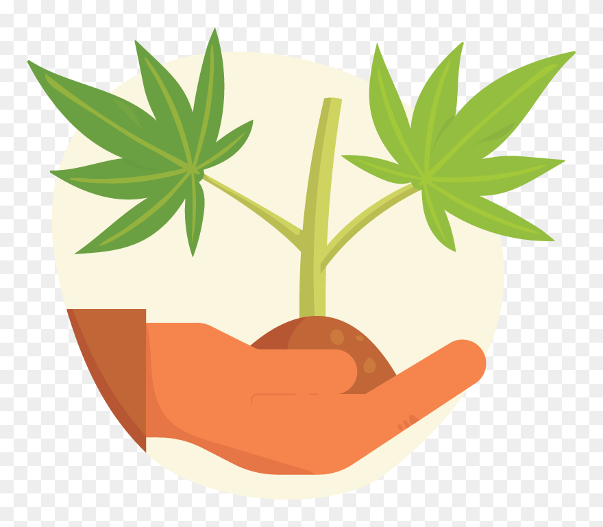 Cannabis Clipart