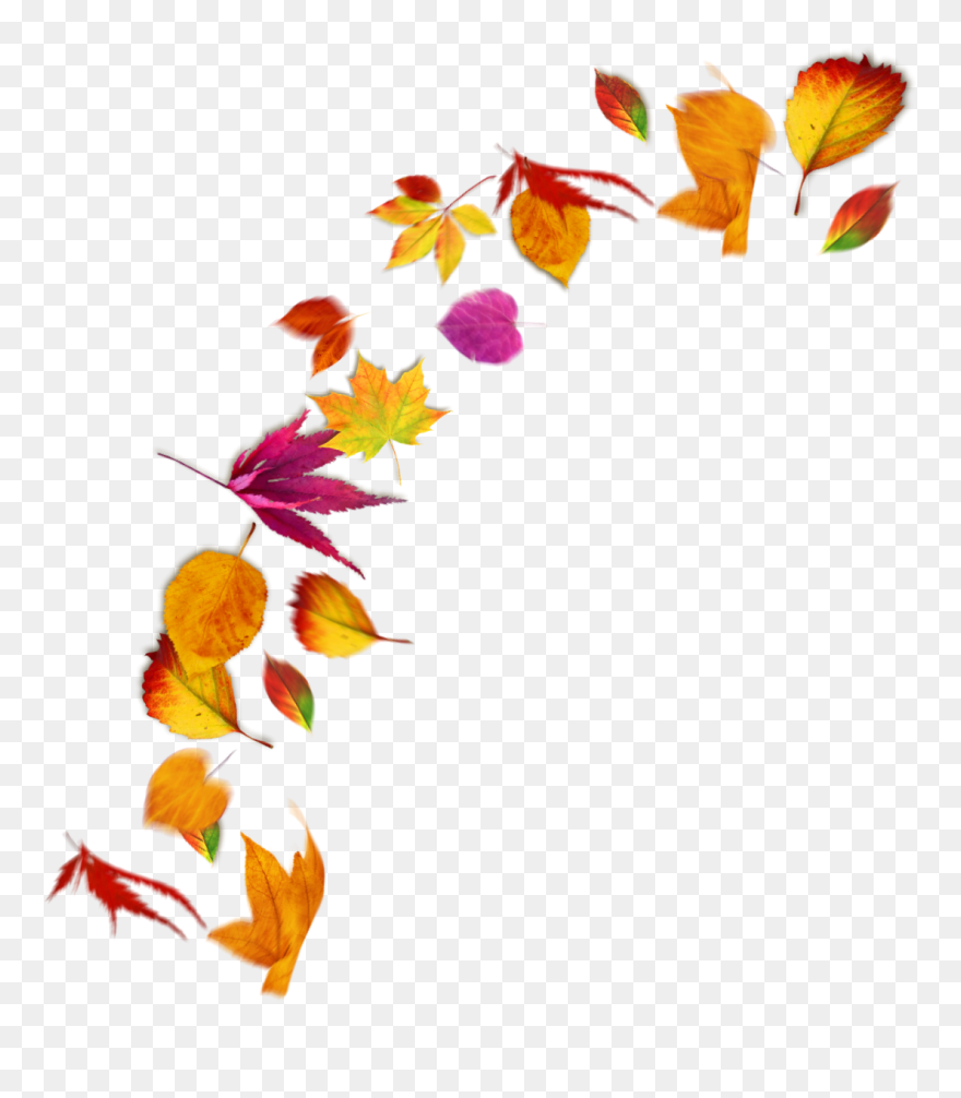 #fallingleaves #falling #fallinginlove #fallingstar Clipart
