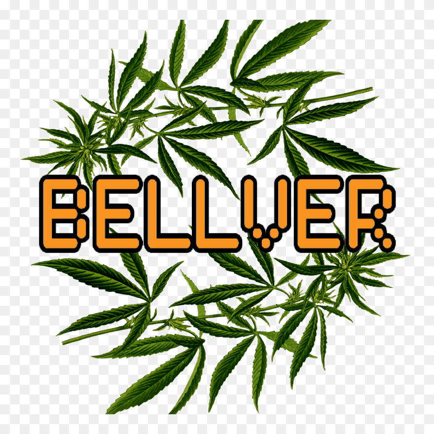 Illustration Clipart