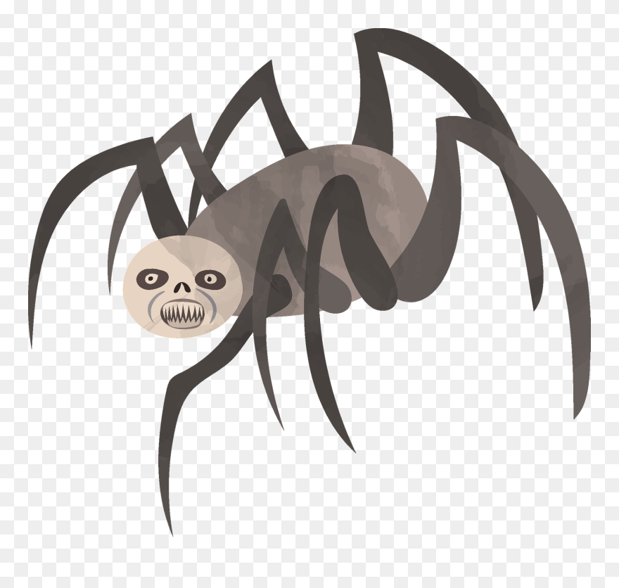 Insect Clipart