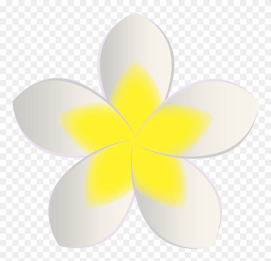 Plumeria Flower Clipart - Plumeria Flower Clip Art - Png Download
