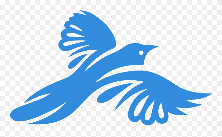 Accipitridae Clipart